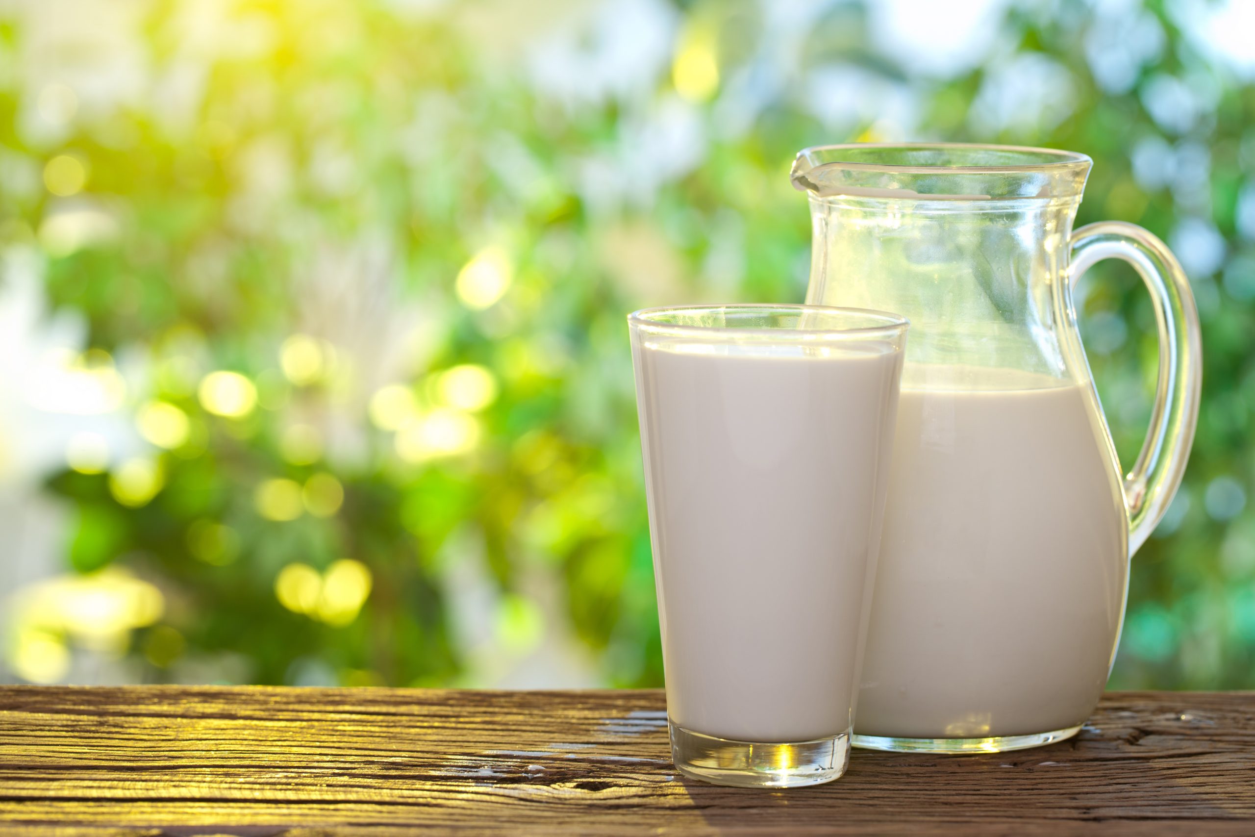 Lait Bio: C'est quoi Exactement ?