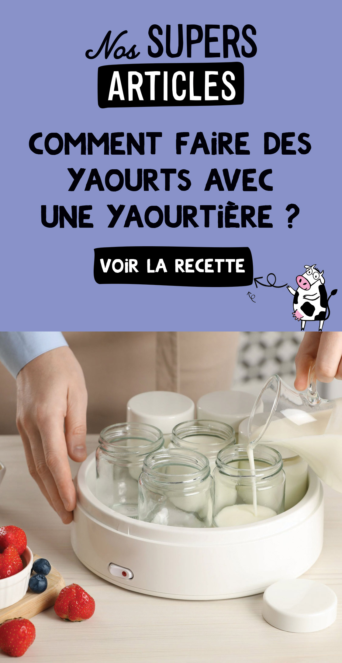 L2V-NosSupersArticles-CommentFaireDesYaourtsavecUneYaourtiere
