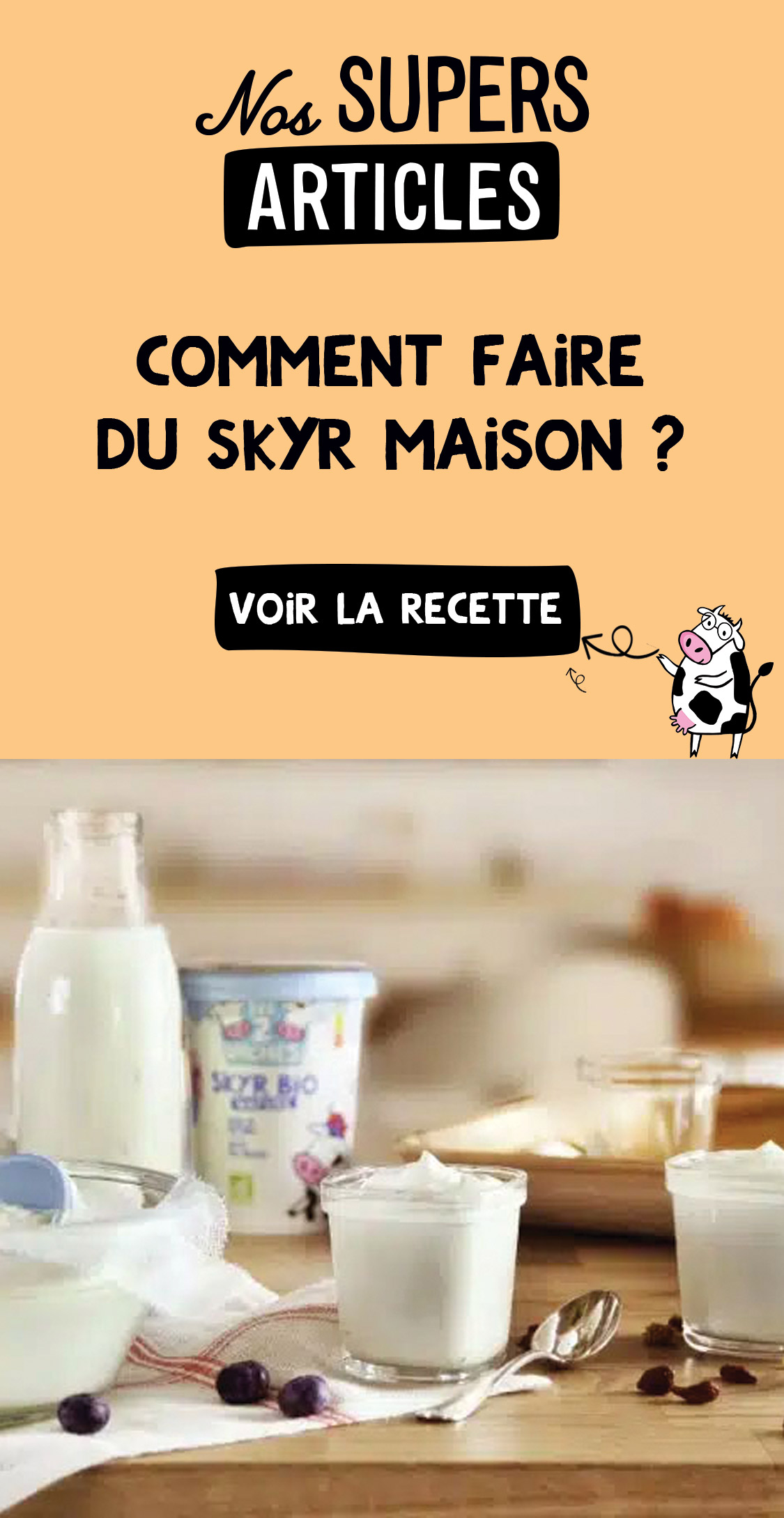 L2V-NosSupersArticles-CommentFaireDuSkyrMaison