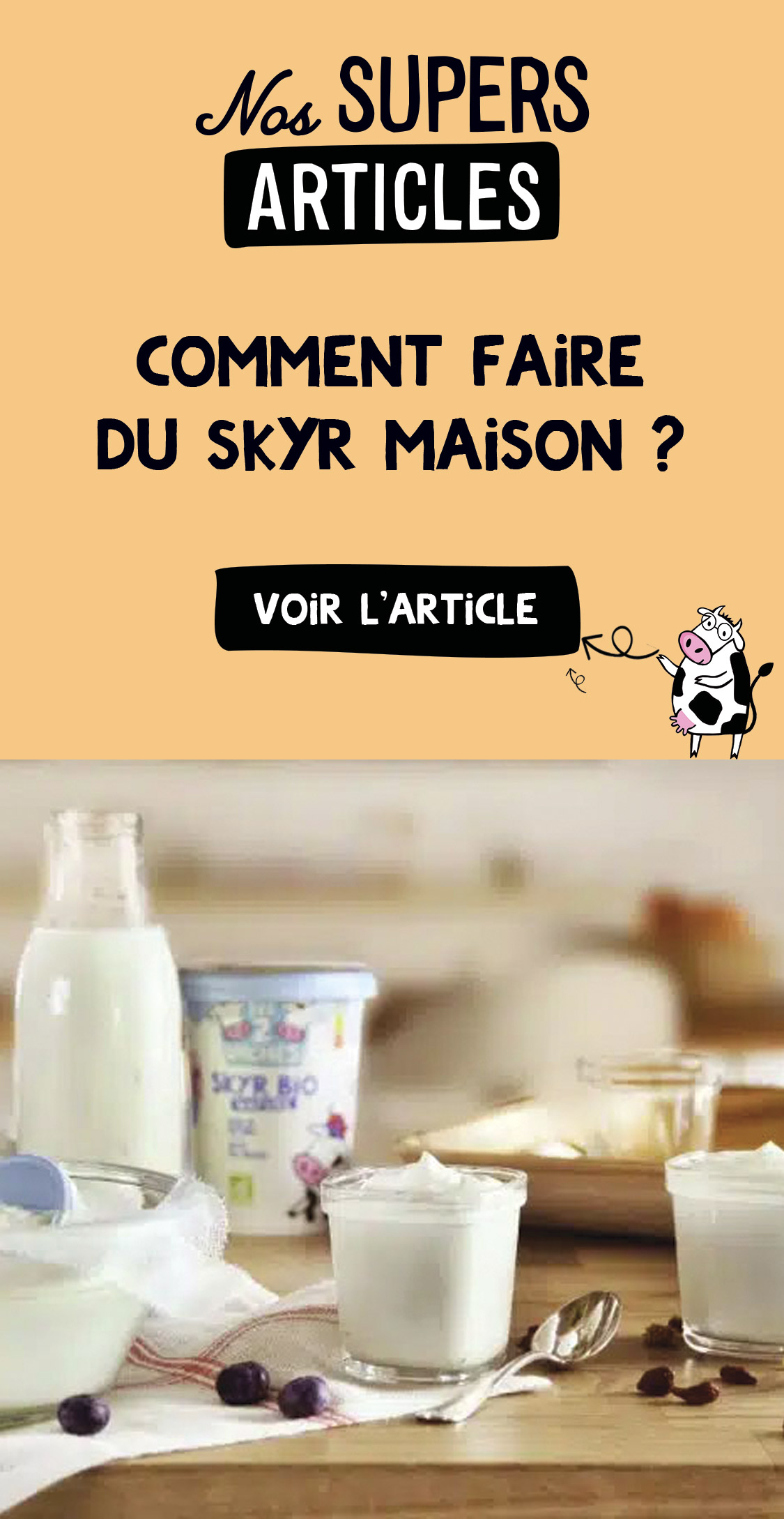 L2V-NosSupersArticles-CommentFaireDuSkyrMaison